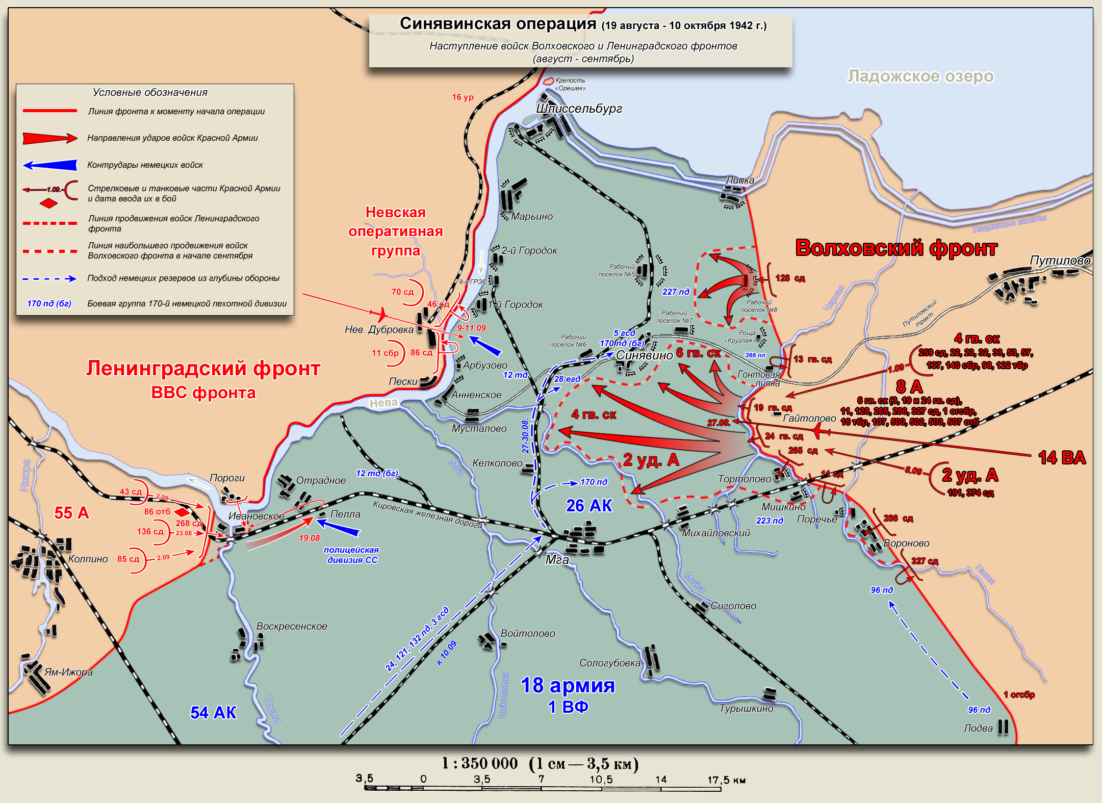 1 октября 1942 года. Синявинская операция 1942. Синявинская операция 19 августа 10 октября 1942 года. Синявинской наступательной операции 1942 года. Синявинская операция Волховского и Ленинградского фронтов.